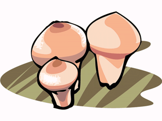 mushroom36.gif