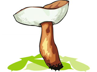 mushroom9.gif