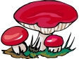 mushroom1212.gif
