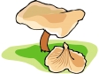 mushroom15.gif