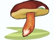 mushroom29.gif