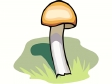 mushroom63.gif