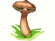 mushroom65.gif