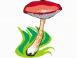 mushroom68.gif