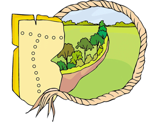 topomap_treesplantation2.gif