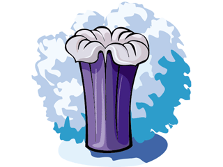 vase2.gif