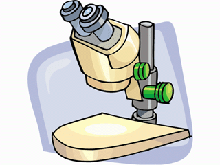 microscope5121.gif